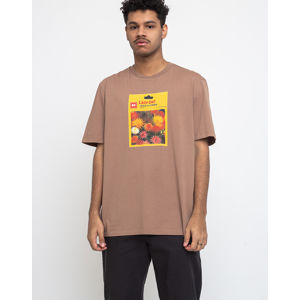 Lazy Oaf Seed Packet T-shirt Brown XL